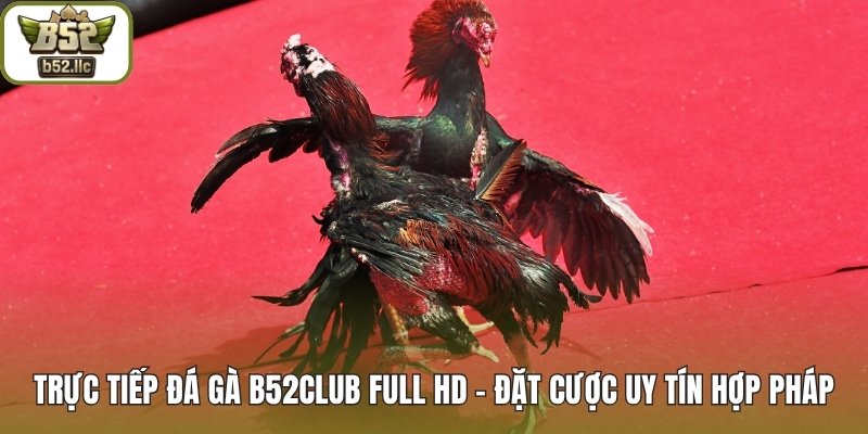 Trực tiếp đá gà
